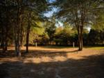 A gravel RV site surrounded by tall trees at DOGWOOD RV PARK - thumbnail