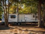 A travel trailer parked in a RV site at DOGWOOD RV PARK - thumbnail