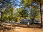 Travel trailers parked in RV sites at DOGWOOD RV PARK - thumbnail