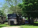 A motorhome parked in a site under a tree at BROKEN SPOKE RV - thumbnail