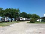 The road going thru the campground at BROKEN SPOKE RV - thumbnail