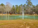 A water fountain in the pond at SANWAR RV PARK & RESORT - thumbnail