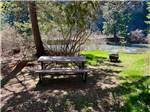 Picnic area - thumbnail
