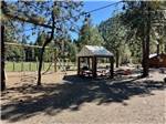 Playground area - thumbnail