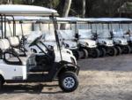 A row of parked golf carts at CROOKED OAKS RV PARK - thumbnail