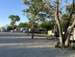 Parked trailers at site Plantation Oaks RV Ranch - thumbnail
