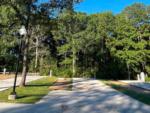 Paved RV site near trees at WILLIS HILLSIDE RV RESORT - thumbnail