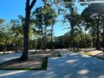 Beautiful shaded sites by tall trees at WILLIS HILLSIDE RV RESORT - thumbnail