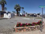 Mobile homes and parked trailers at site Lake Tamarisk Desert Resort - thumbnail