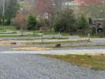 Gravel sites at SWEETWATER SIGHTS RV PARK & CABIN RENTALS - thumbnail