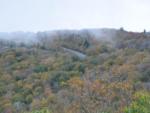 Aerial view of trees at SWEETWATER SIGHTS RV PARK & CABIN RENTALS - thumbnail