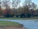 Gravel road at SWEETWATER SIGHTS RV PARK & CABIN RENTALS - thumbnail