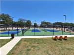 The pickleball courts - thumbnail