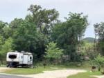 Travel trailer at site with trees and picnic table at LOST MAPLES RV AND CAMPING - thumbnail