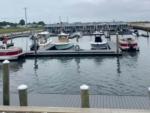 Boats docked at site BluFin Bungalows & Marina - thumbnail