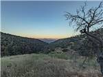 Scenic view - thumbnail