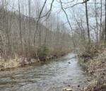 Tree-lined stream - thumbnail