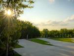 RV lots with sun and trees in background at SILO CREEK RV RESORT - thumbnail