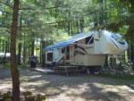 A fifth wheel parked at a shaded site at KINZUA EAST KAMPGROUND - thumbnail