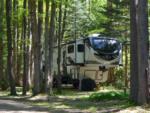 Wooded and shaded site at KINZUA EAST KAMPGROUND - thumbnail