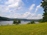 Grassy area next to the water at KINZUA EAST KAMPGROUND - thumbnail