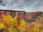 Fall foliage at KINZUA EAST KAMPGROUND - thumbnail