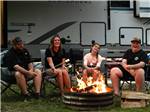 A family roasting marshmallows over a campfire - thumbnail