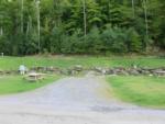 Open RV space near woods at site Bear Ridge Campground & Cottages - thumbnail