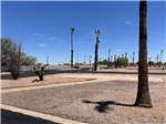 Paved site - thumbnail