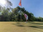A man about to sink a shot on the golf course - thumbnail
