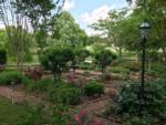 Garden with walking path at ROCK WALL RV PARK - thumbnail