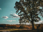 A scenic view of the valley and sky at Skyridge Trails Campground - thumbnail