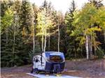 RV site by the trees - thumbnail