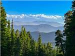 View of the trees by the mountain - thumbnail