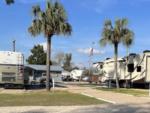 RVs, office and two palm trees at STEINHATCHEE VILLAGE RV PARK - thumbnail