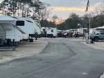 A row of RVs parked along a paved road at STEINHATCHEE VILLAGE RV PARK - thumbnail