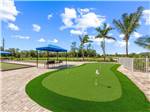 Putting green at Laguna Caribe - thumbnail