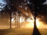 The sunset shining through the trees at APPLEGATE RV RESORT - thumbnail