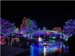 Trees strung with multi-colored lights at night at Sun Creek Point RV Park - thumbnail