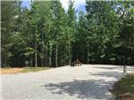 A gravel site surrounded by tall trees - thumbnail