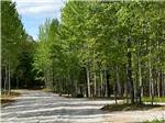 A gravel road that leads to a wooded area - thumbnail