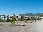 Small trees planted near sites at COTTONWOOD SPRINGS RV RESORT - thumbnail