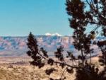 View from a cliff with a tree at SEDONA VIEW RV RESORT - thumbnail