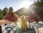 Dog facing the camera at BEST FRIENDS RV PARK - thumbnail