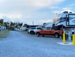 RVs in gravel sites at PALM COVE RV VILLAGE - thumbnail