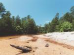 The banks of the river at PALM COVE RV VILLAGE - thumbnail