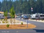 Road through the park at GRASS VALLEY RV RESORT - thumbnail