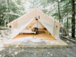 Open look at glamping tent at site Timberline Glamping at Lula - thumbnail