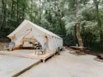 Inside look at glamping tent at Timberline Glamping at Naples - thumbnail