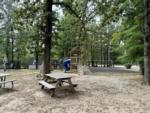 Playground area at THE CAMP AT LAKE WAPPAPELLO - thumbnail